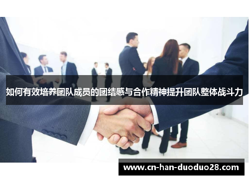 如何有效培养团队成员的团结感与合作精神提升团队整体战斗力