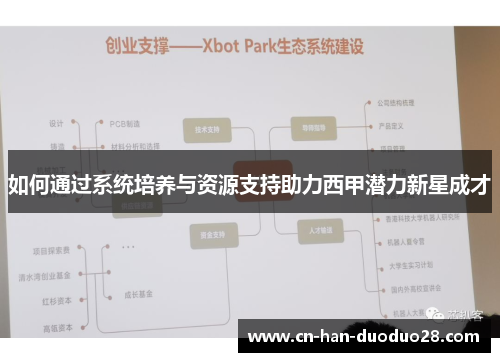 如何通过系统培养与资源支持助力西甲潜力新星成才