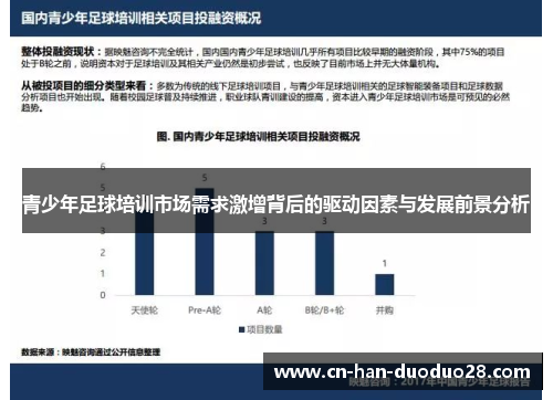青少年足球培训市场需求激增背后的驱动因素与发展前景分析